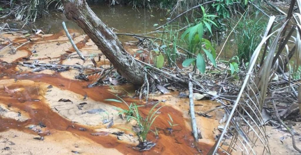 Contaminación de la naturaleza