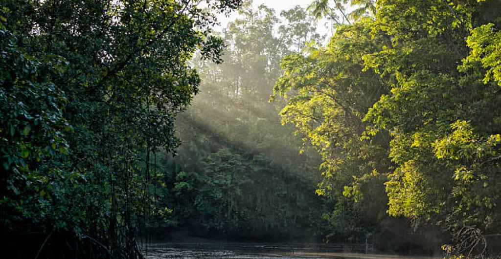 Amazonas