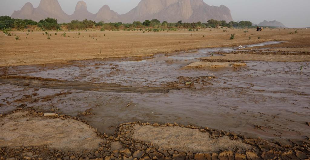 Cambio climático