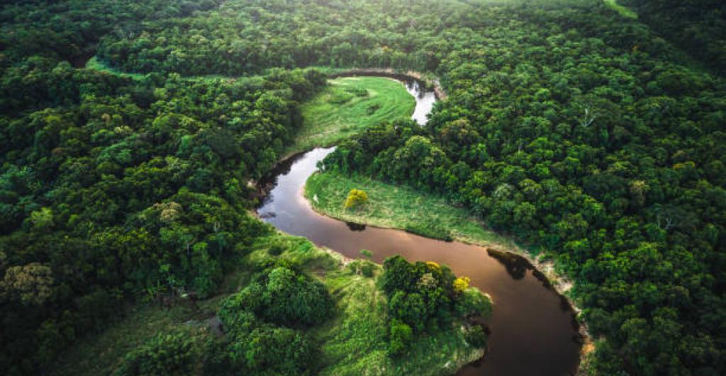 Amazonia