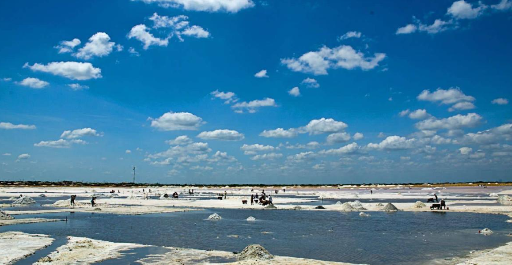 Salinas Marítimas de Manaure