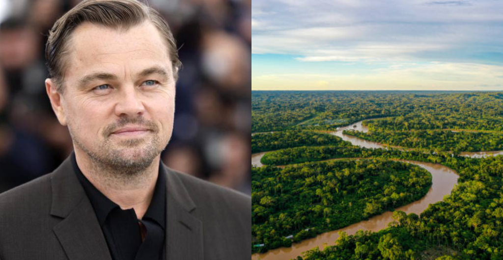 Respaldo de Leonardo DiCaprio a proyecto de ley