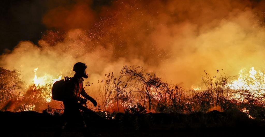 Incendios forestales