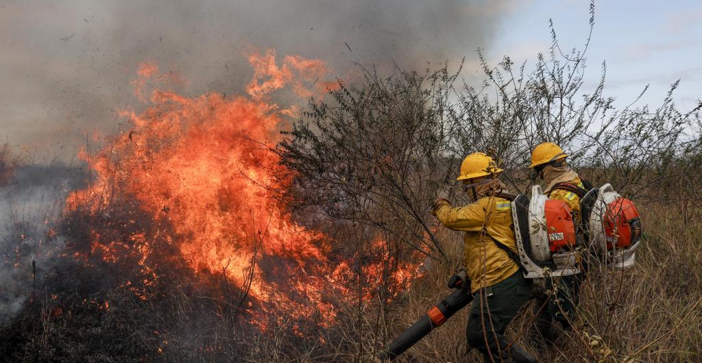 Incendios forestales