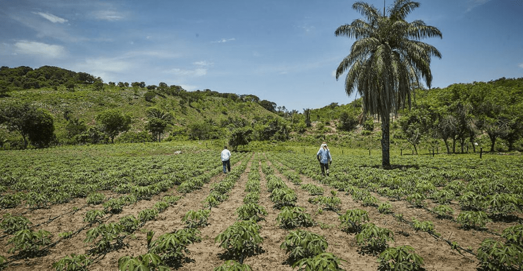 Compra de tierras