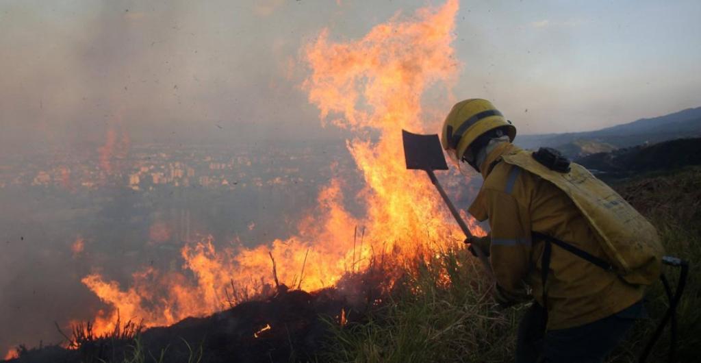 Incendios forestales