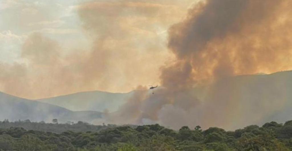 Incendios forestales