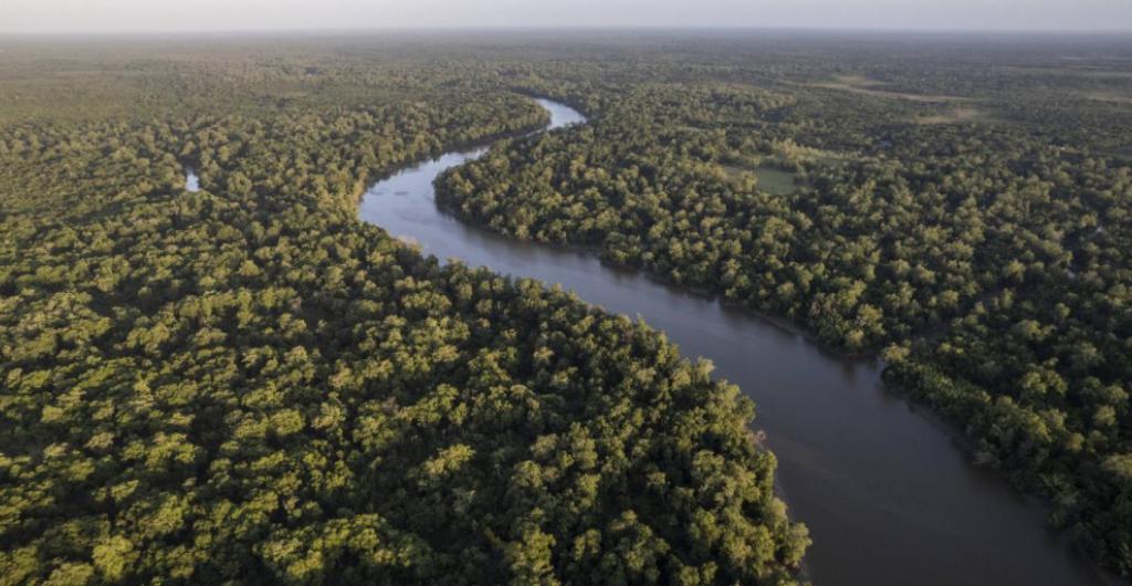 Río Amazonas