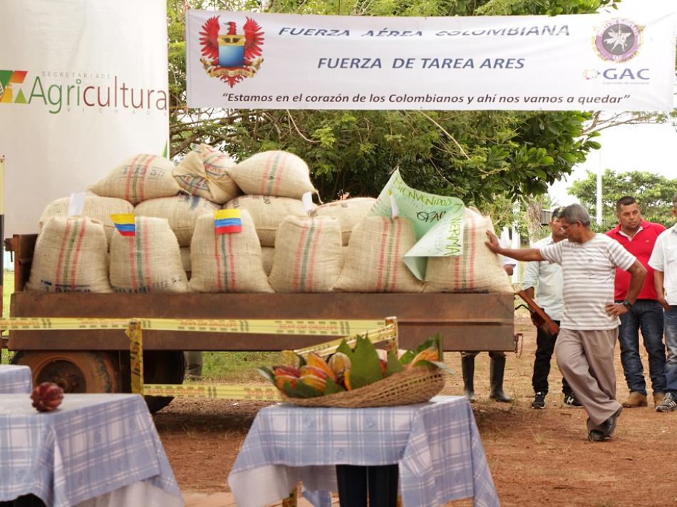 Sustitución de cultivos